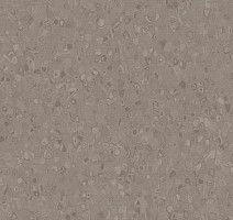 Линолеум Forbo Sphera Element 50020 silt фото 1 | FLOORDEALER